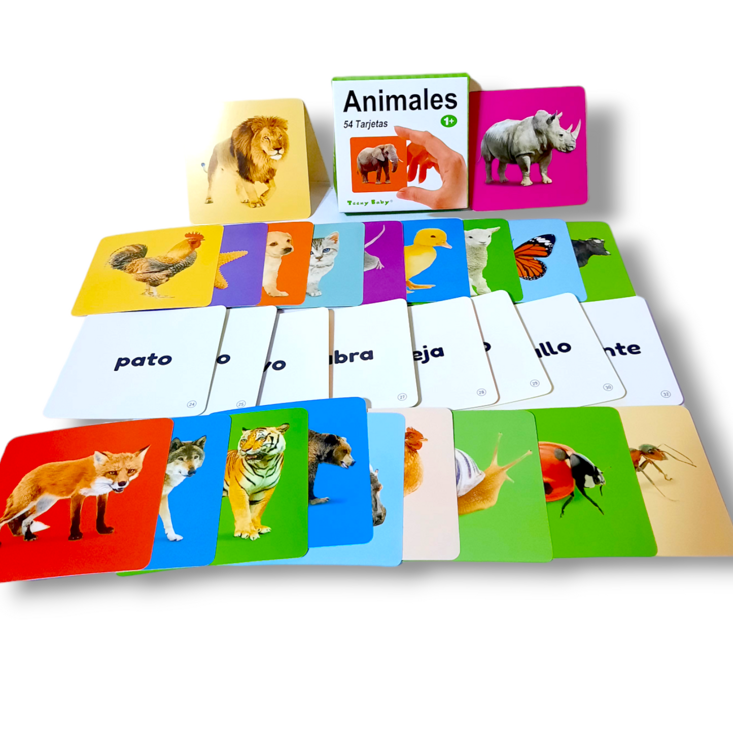 54 tarjetas de aprendizaje