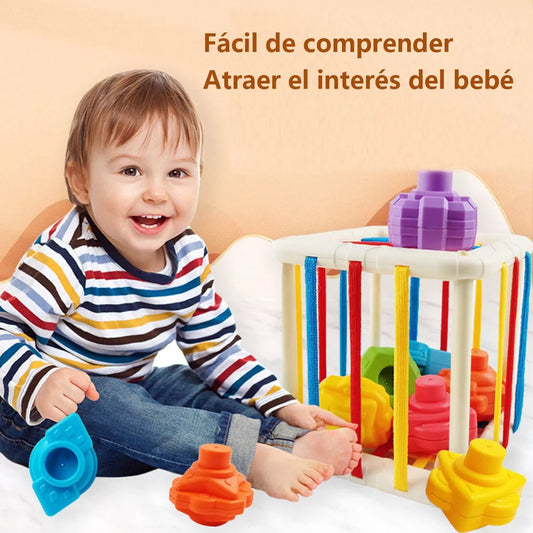 Cubo Sensorial Educación Temprana